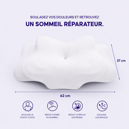 Oreiller à Mémoire de Forme KOMA CloudForm